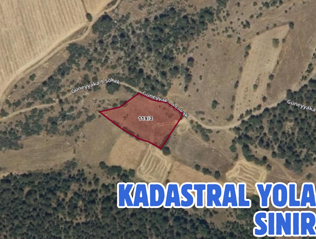 DENİZLİ ÇARDAK SÖĞÜT 3.003 M² TARLAMIZ SATILIKTIR - DENİZLİ ÇARDAK fotoğraf 3